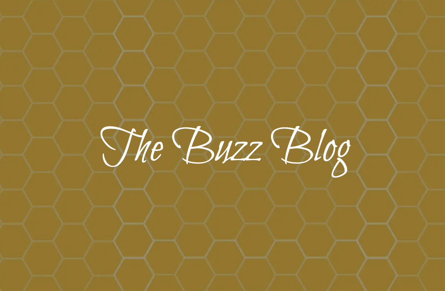 The Buzz Blog Honeycomb Kitchen Shop